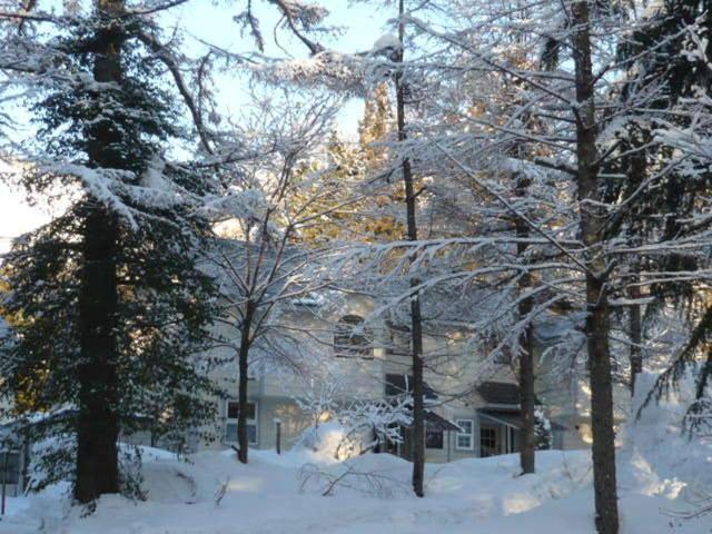Hakuba Royal Suites Exterior photo